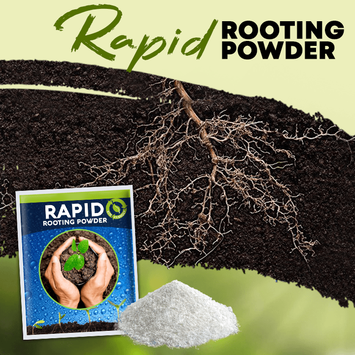 KUBOZN® Rapid Rooting Powder